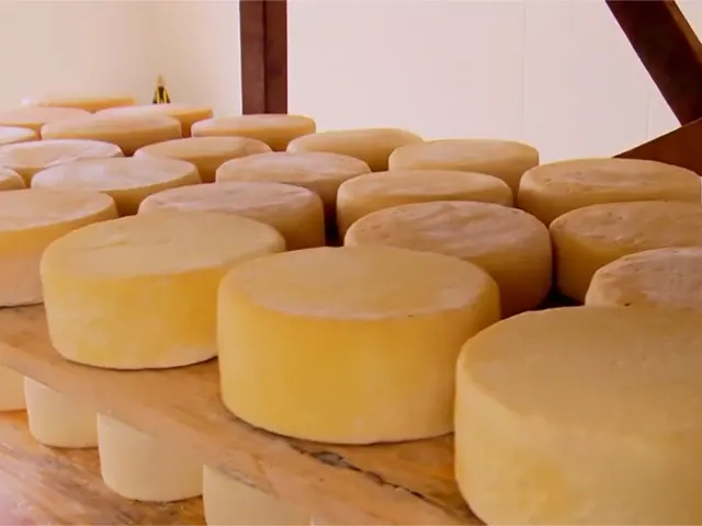 Bahia ganha legislação para produção e comercialização de queijos artesanais