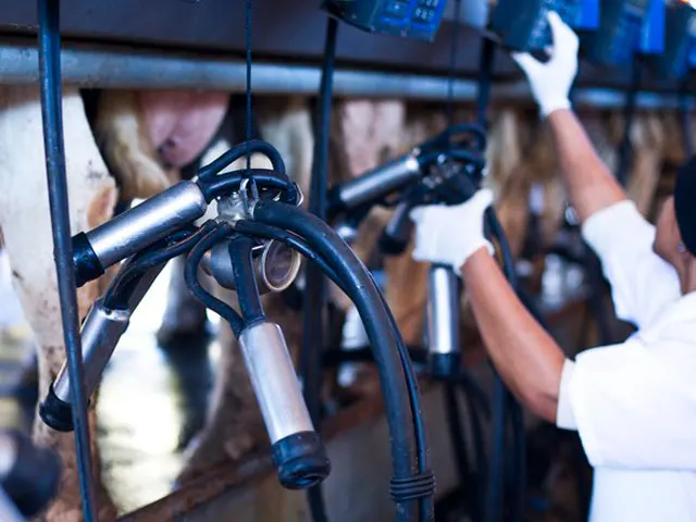 Salários sobem e custo de produção de leite cresce 2,4% em janeiro