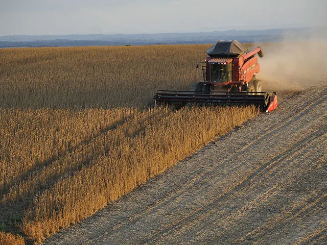 Colheita de soja ultrapassa 50% em todo o país