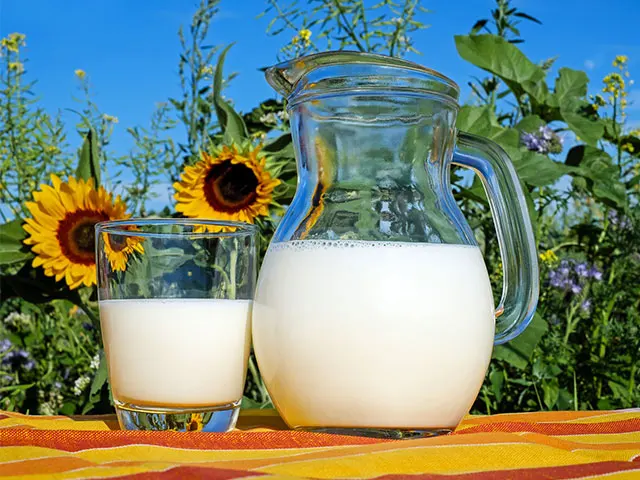 Preço do leite pago ao produtor em MT recua 0,71%