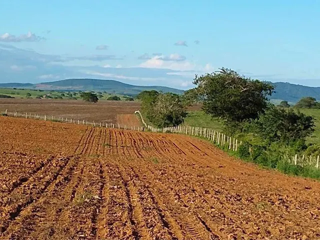 Produtores rurais buscam alternativas para os altos custos e risco de escassez dos fertilizantes