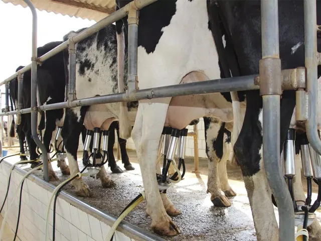 Custo de produção de leite registra alta de 1% em fevereiro