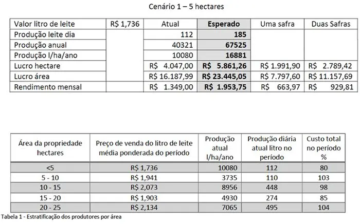 Estudo mostra viabilidade econômica da produção leiteira