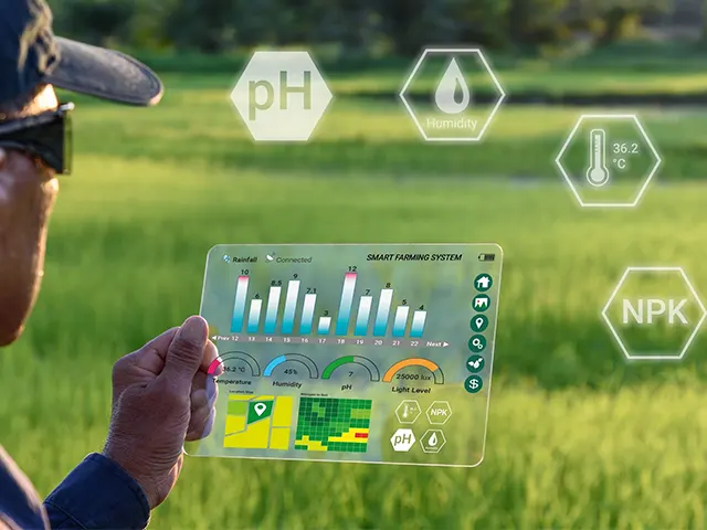 Automatização e aumento da produtividade