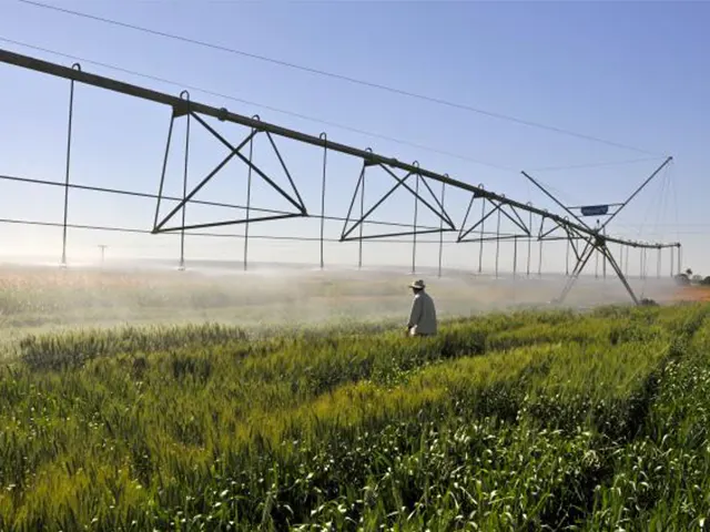 A importância da gestão de recursos hídricos e da agricultura irrigada