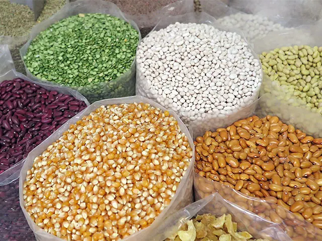 Produtores seguem com incertezas para a próxima safra