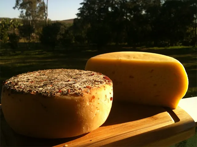EPAMIG é parceira da CNA em concurso de melhores queijos artesanais do Brasil
