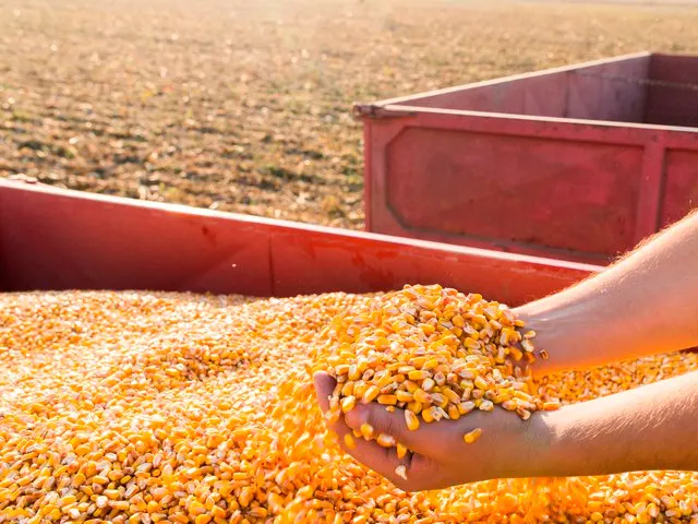 Valor da Produção Agropecuária de 2022 deve chegar a R$ 1,227 trilhão