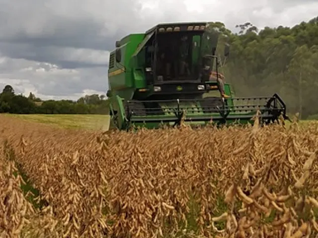 Colheita da soja é retomada e já alcança 55% da área cultivada no RS