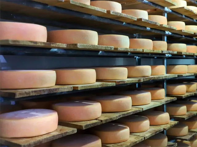 Unium e Tetra Pak fecham acordo para construção de queijaria de alta tecnologia