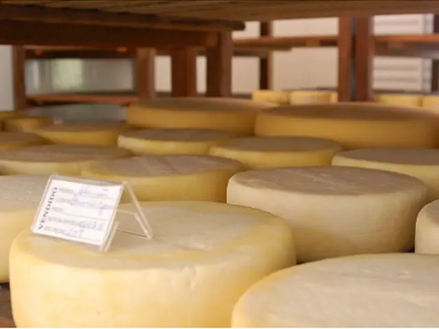 Faec irá lançar queijo genuinamente cearense durante PEC Nordeste