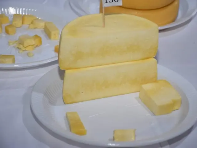 Produtores garantem classificação em concurso de queijo Canastra