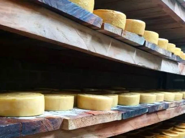 Cresce a produção de queijo artesanal em Goiás