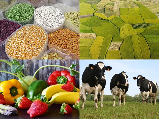 Qualificação eleva a produtividade agropecuária
