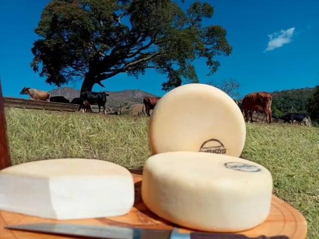 Queijo Minas Artesanal produzido na canastra é apontado como o melhor queijo do mundo