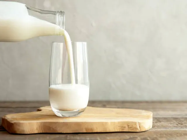 Preço médio do leite no RS teve alta de 14,59% em julho
