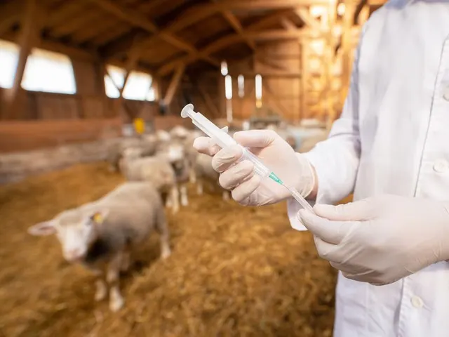 Aberta consulta pública sobre produtos de uso veterinário