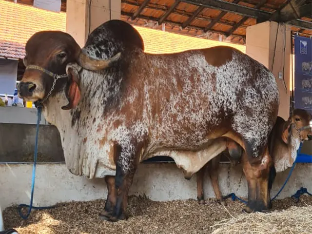Planejamento e eficiência no campo