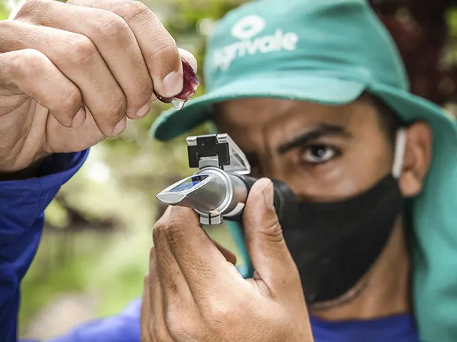 Como a tecnologia amplia a capacidade produtiva com qualidade na agricultura