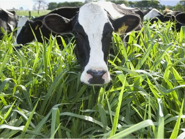 Embrapa atua na promoção do desenvolvimento sustentável das atividades agropecuárias