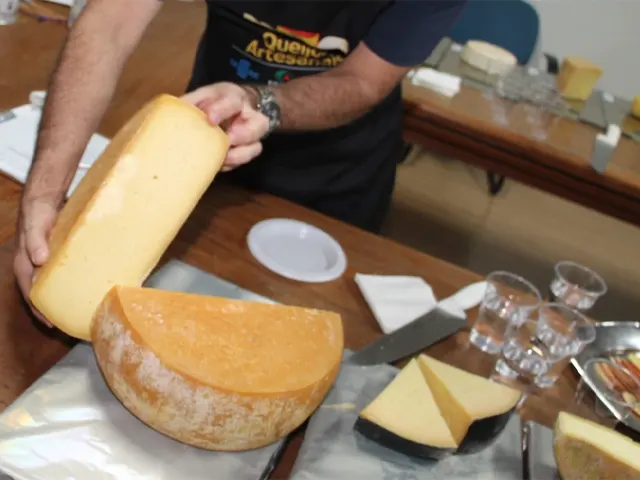 Novo equipamento adquirido pela EPAMIG permite mais agilidade e precisão nas análises de queijos e produtos lácteos