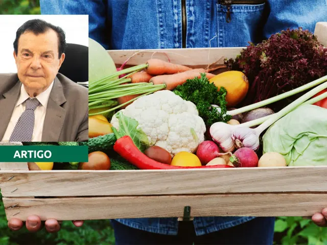 Segurança alimentar depende do combate ao desperdício e melhoria da logística
