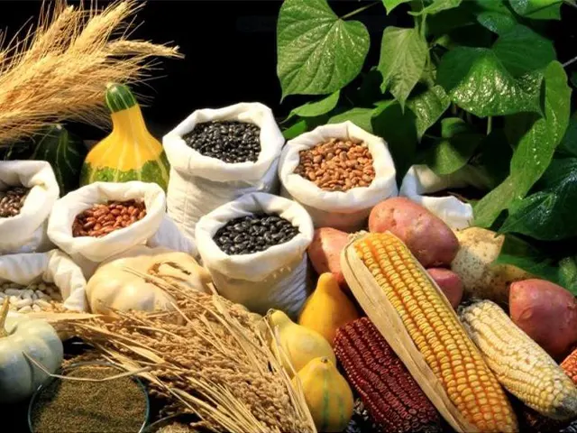 Agrodefesa alerta para novas normas do MAPA sobre produção, comércio e uso de sementes