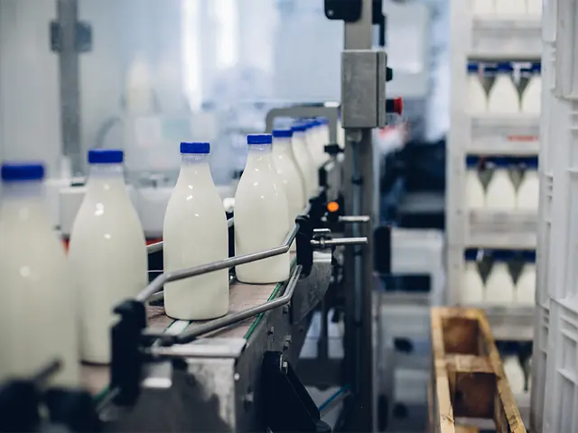 Em meio a incertezas, mercado lácteo espera recuperação em 2023