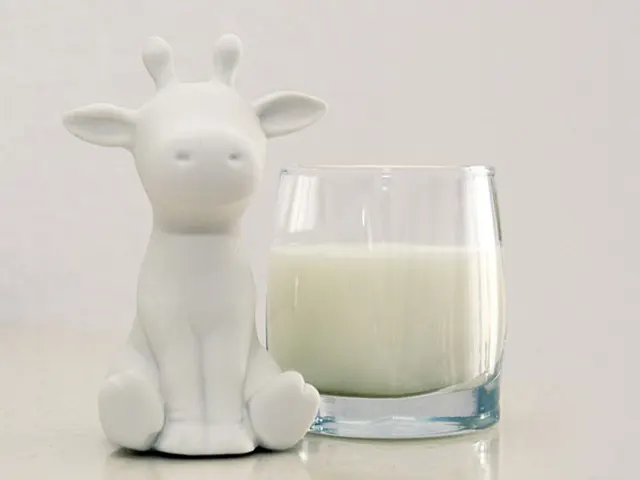 Demanda enfraquecida do leite pressiona até dezembro