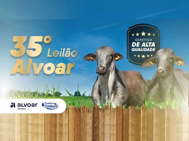 35º Leilão Embaré será realizado na Granja Camponesa