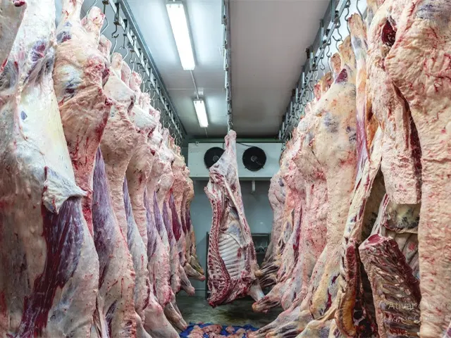 Exportações de carne bovina do Brasil devem superar média global em 2023