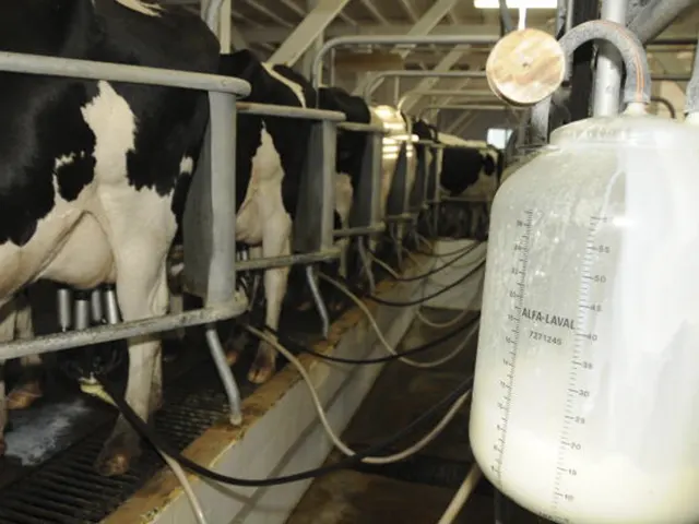 Ano se inicia com ligeiro aumento nos custos da pecuária leiteira