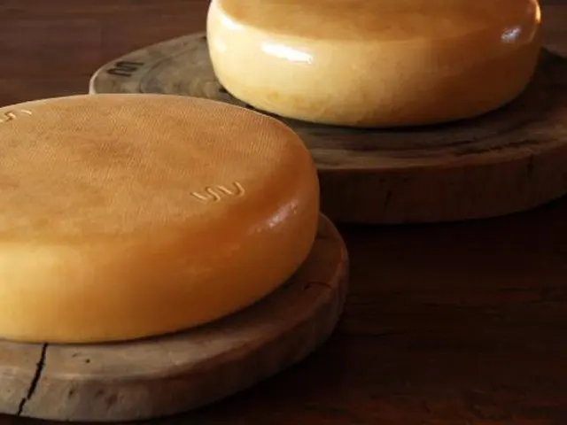 Queijo Minas Artesanal da Canastra é destaque no guia gastronômico Taste Atlas