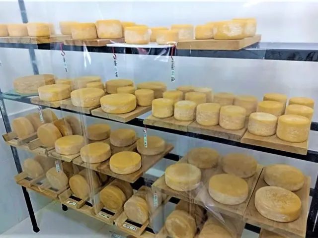 EPAMIG ILCT conduz caracterização do Queijo Minas Artesanal da região Serras da Ibitipoca