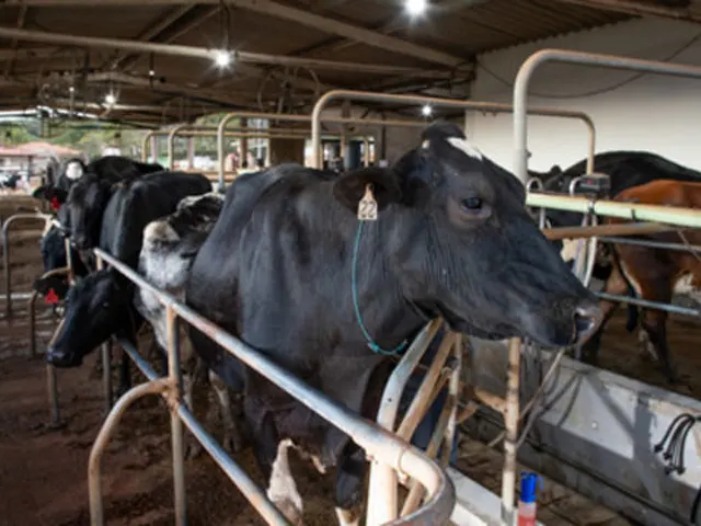 Índice de Insumos para Produção de Leite Cru do RS tem deflação de 3,72% em março