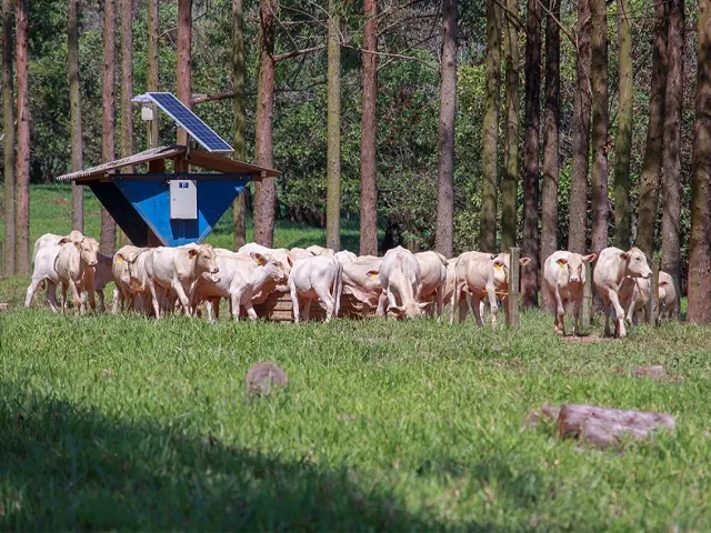 Tecnologias digitais contribuem para melhorar eficiência da produção de alimentos de forma mais sustentável