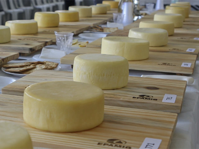 Inscrições abertas para o 46º Concurso Nacional de Produtos Lácteos