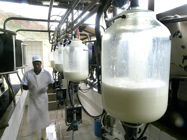 Inventário mede o impacto ambiental da cadeia leiteira brasileira