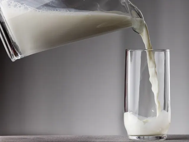 Importações excessivas geram crise inédita na cadeia do leite em SC