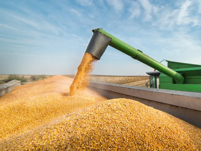 Produção de grãos brasileira deverá chegar a 390 milhões de toneladas nos próximos dez anos