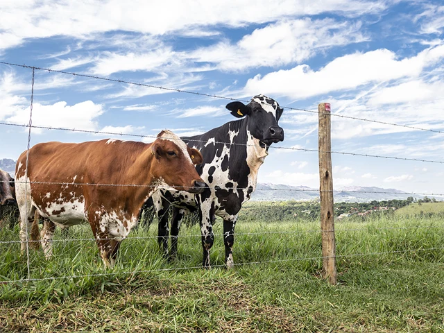Belgo Arames leva soluções que contribuem com a produção leiteira no Agroleite 2023 