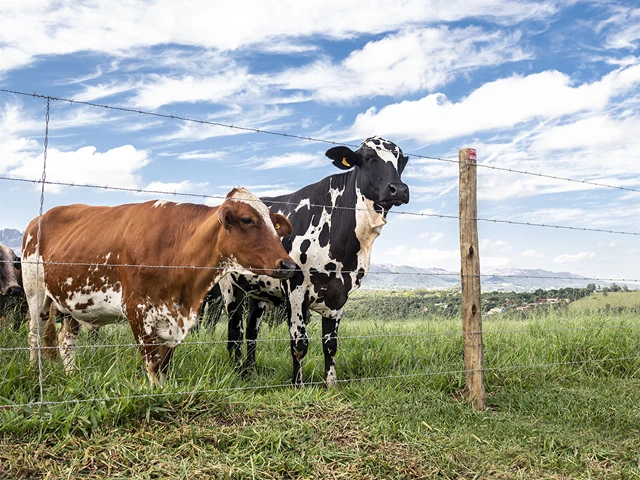 Belgo Arames leva soluções que contribuem com a produção leiteira no Agroleite 2023
