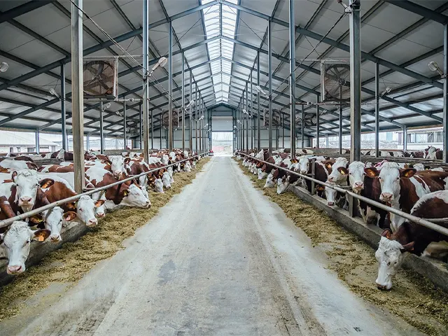 Belgo Arames lança solução inovadora para segurança de galpões rurais