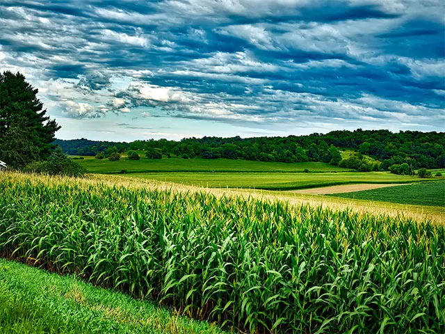 Aplicação do crédito rural chega a R$ 186 bilhões em quatro meses do atual Plano Safra