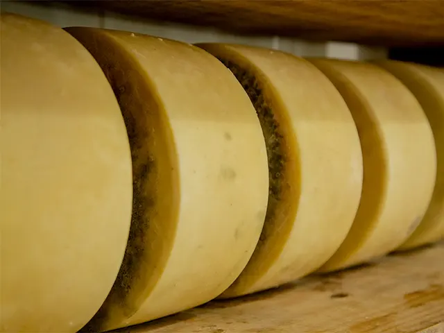 Queijaria Queijo D’Alagoa completa 14 anos em Minas Gerais