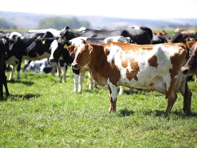 Início do ano é a oportunidade para os produtores se prepararem para o inverno