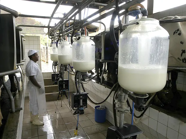 Atividade leiteira data ano com preços em baixa