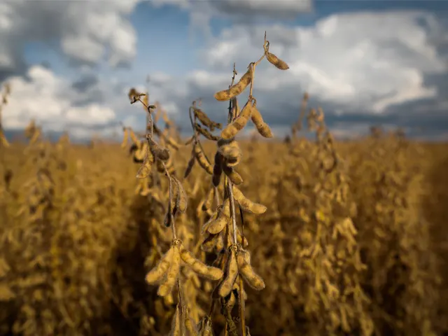 Pragas e doenças podem comprometer até 90% da produção agrícola