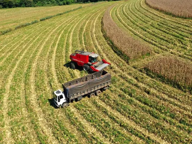 Balança Comercial do Agro Paulista registra alta de 23,4% no primeiro trimestre de 2024