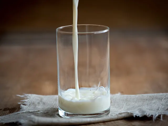 Preço do leite pago ao produtor em MT teve queda de 2,80%